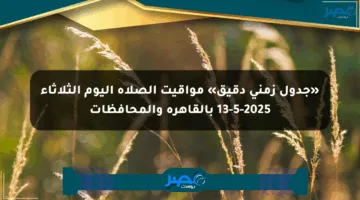 «جدول زمني دقيق» مواقيت الصلاة اليوم الثلاثاء 13-5-2025 بالقاهرة والمحافظات